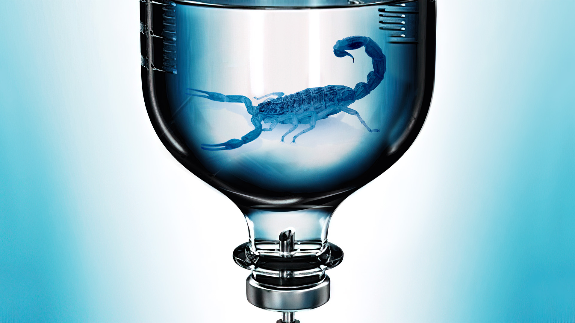 02-Escorpion-Azul