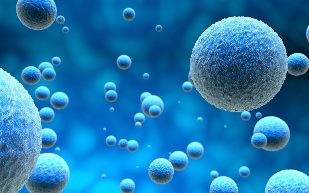 ¿El Veneno del Escorpión Azul® funciona para el cáncer?